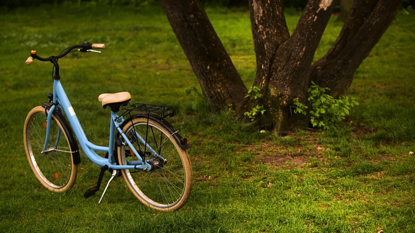 A light blue bicycle leaning under a tree in a park, from the short film Berlin with an original string score by Santiago Bianchi